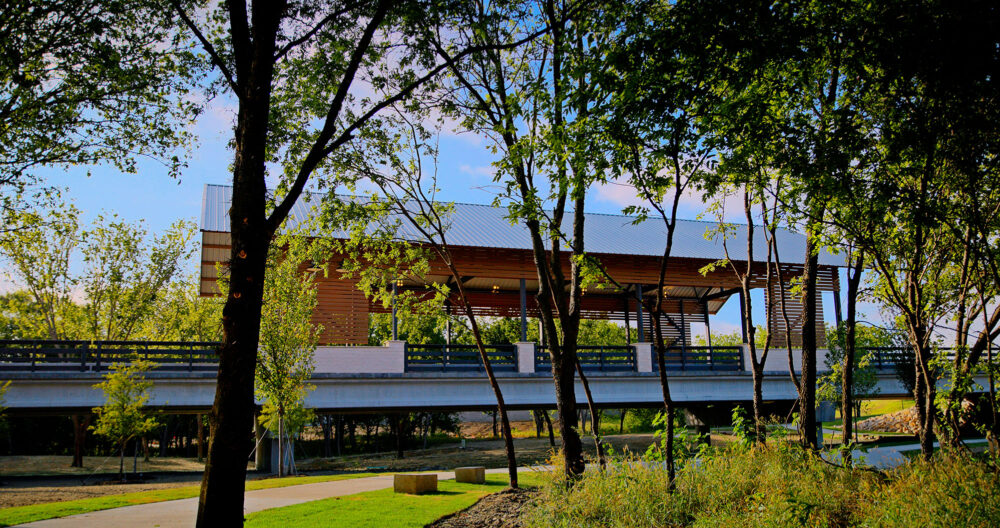 A bridge at Treeline