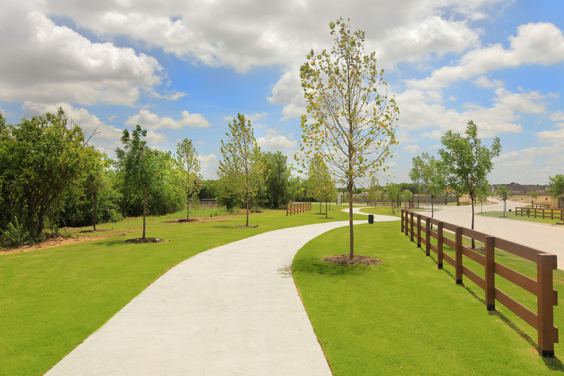A walking path within Treeline
