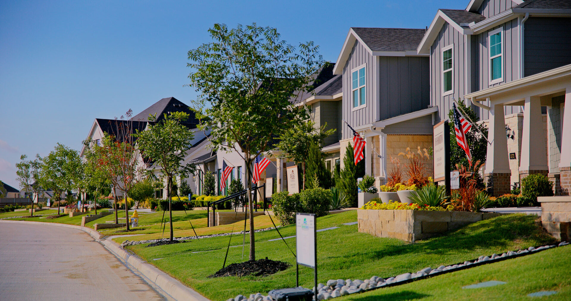 A street of homes in Treeline