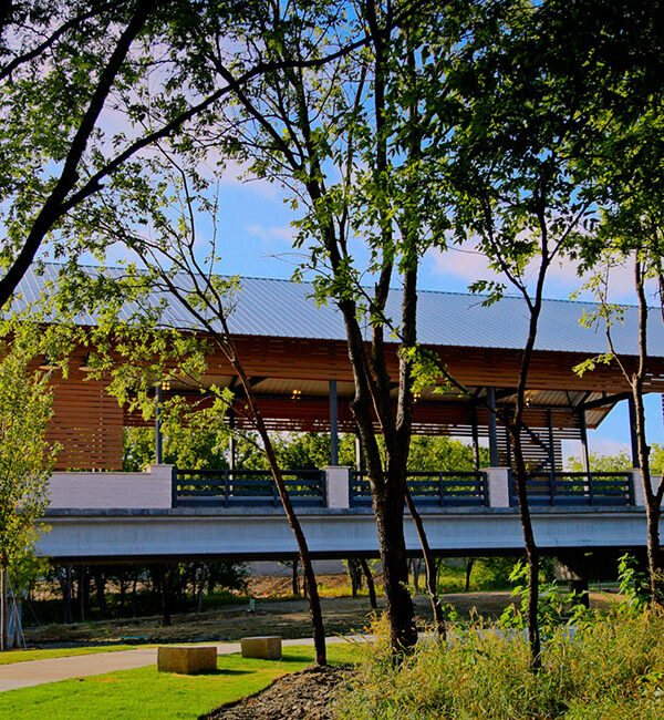 The bridge at Treeline