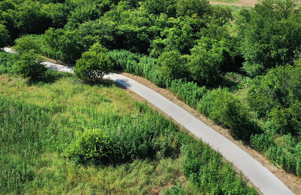 Aerial view of a path in Treeline