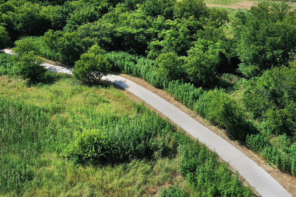Aerial view of a path in Treeline