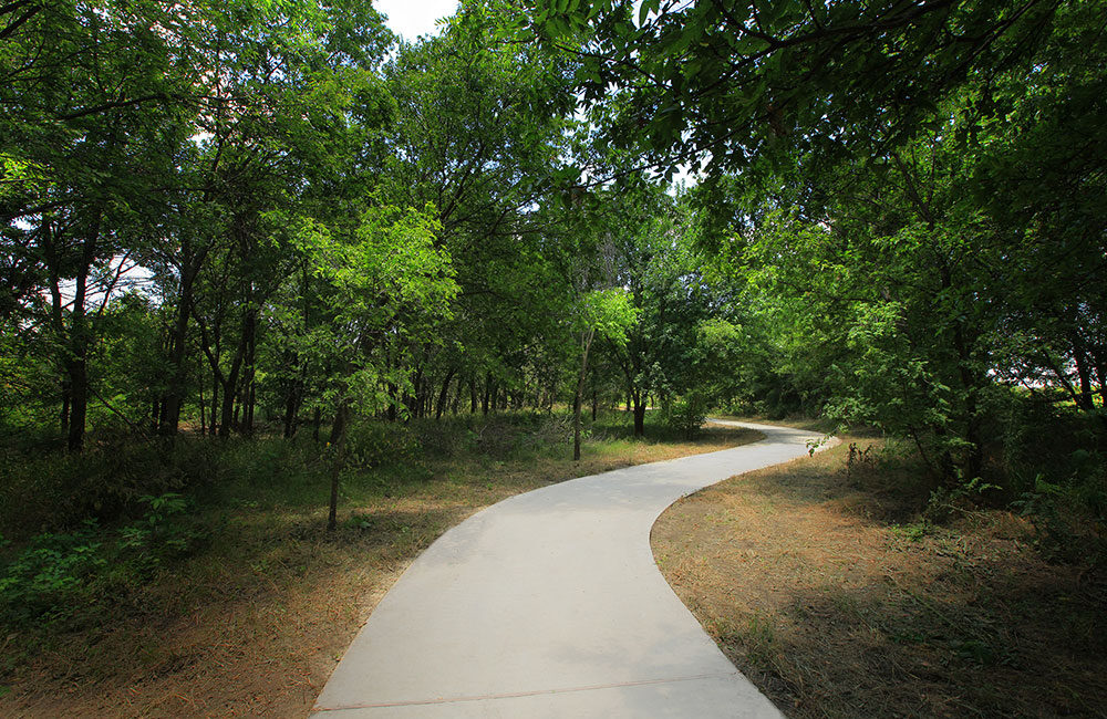 A tree-lined walking path