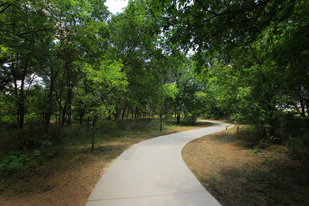 A tree-lined walking path